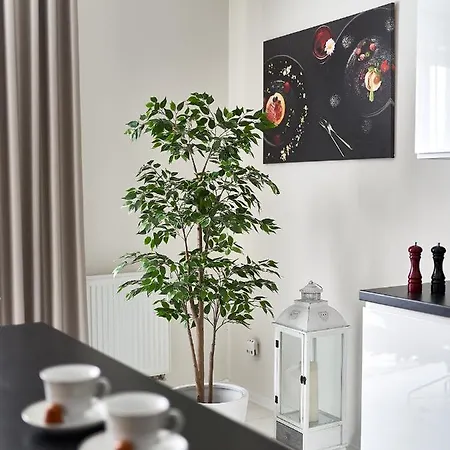 Goldwell - Szczesliwa * Żory